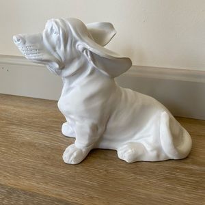 White sitting basset hound with flying ears